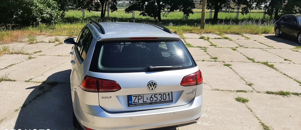 Volkswagen Golf cena 42000 przebieg: 203000, rok produkcji 2015 z Mrocza małe 29